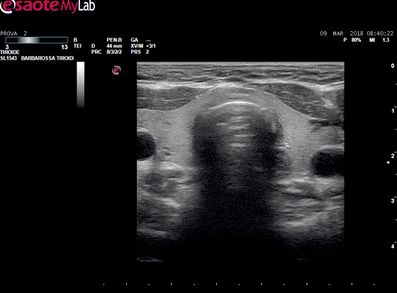 Image module