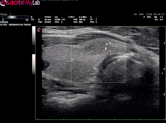 Image module